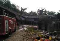 kandang ternak ayam dibakar massa