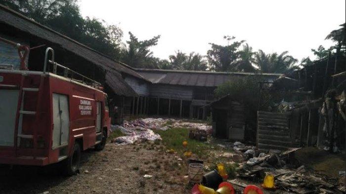 kandang ternak ayam dibakar massa